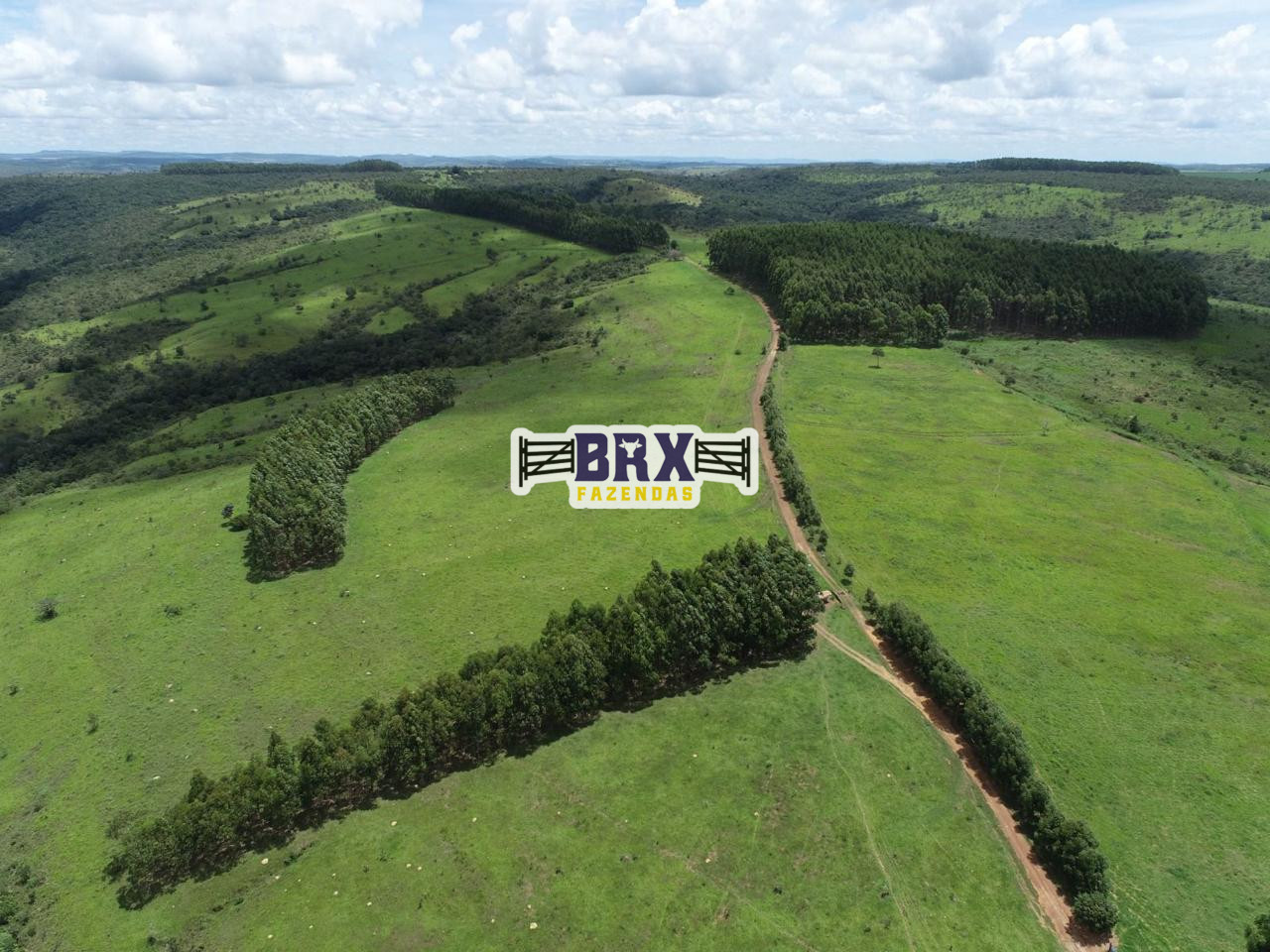 Fazenda para gado a venda em Girassol Cocalzinho de Goiás.