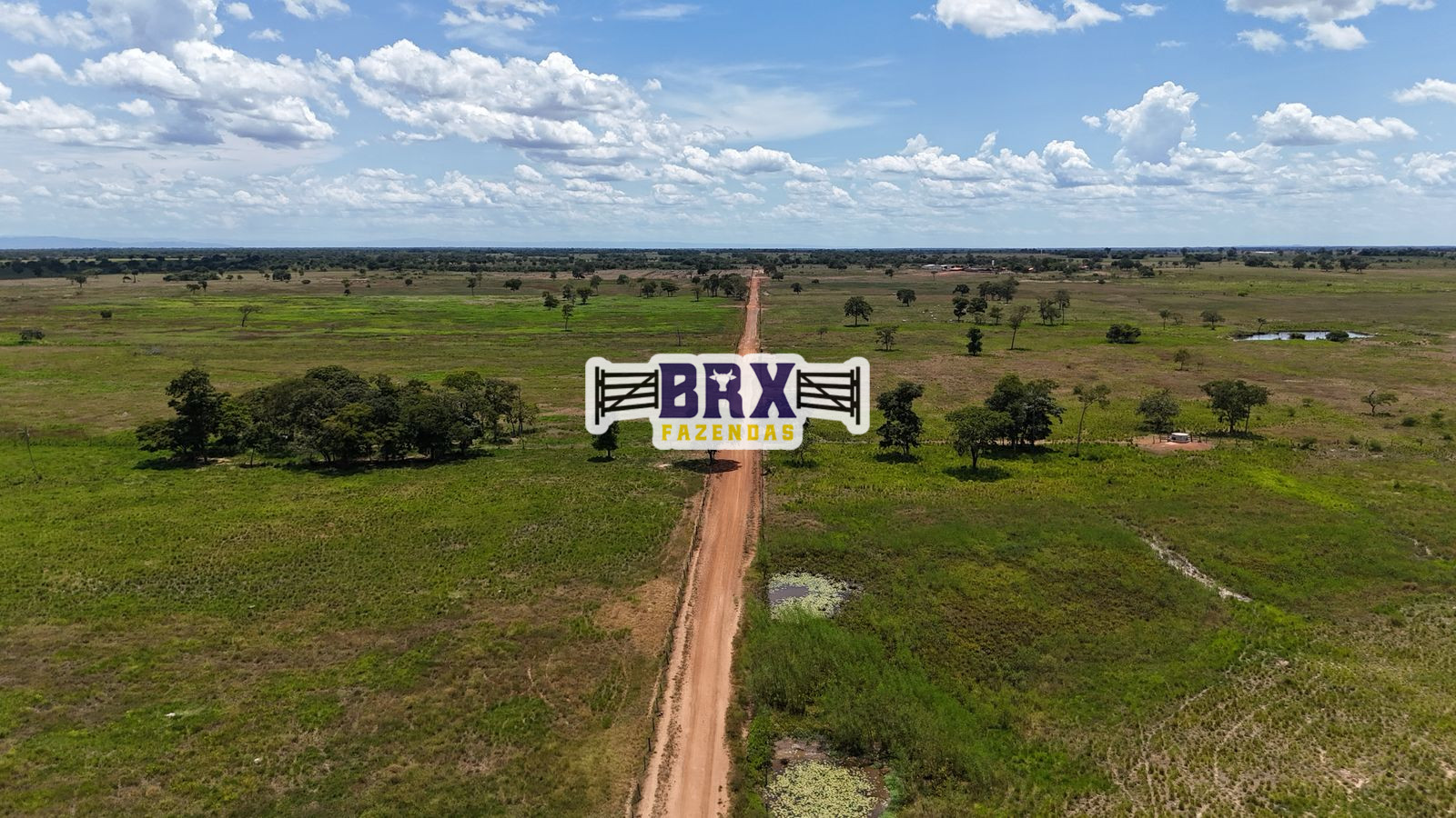 Fazenda à venda ou arrendamento agrícola em Flores de Goiás.